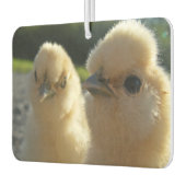 Désodorisant Pour Voiture Buff Silkie poulet (Gauche)
