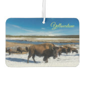 Désodorisant Pour Voiture Buffalo de Yellowstone (Dos)