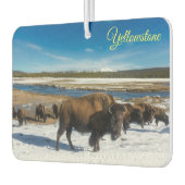 Désodorisant Pour Voiture Buffalo de Yellowstone (Gauche)