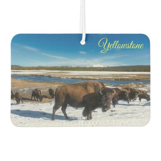 Désodorisant Pour Voiture Buffalo de Yellowstone (Devant)