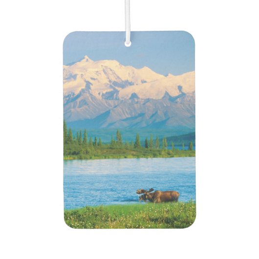 Désodorisant Pour Voiture Bull moose in Wonder Lake (Devant)