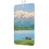 Désodorisant Pour Voiture Bull moose in Wonder Lake (Gauche)