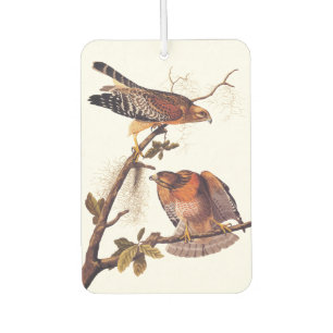 Désodorisant Pour Voiture Buse à épaulettes roux Audubon Oiseau de proie
