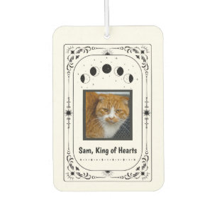 Désodorisant Pour Voiture Cadeau Personnalisé Amateur de Chat Drôle Photo d'