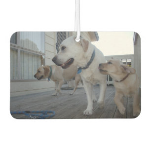 Désodorisant Pour Voiture Câlins de chiot : Amour de famille Labrador couleu