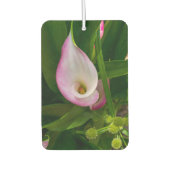 Désodorisant Pour Voiture Calla Roll (Devant)