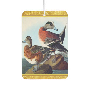 Désodorisant Pour Voiture Canards Widgeon américains sur une roche