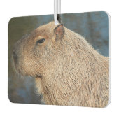Désodorisant Pour Voiture Capybara (Gauche)