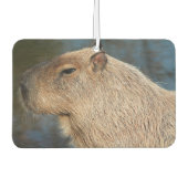 Désodorisant Pour Voiture Capybara (Devant)