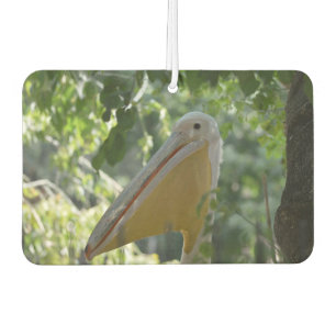Désodorisant Pour Voiture Car Air Fresheners avec beau curieux pélican