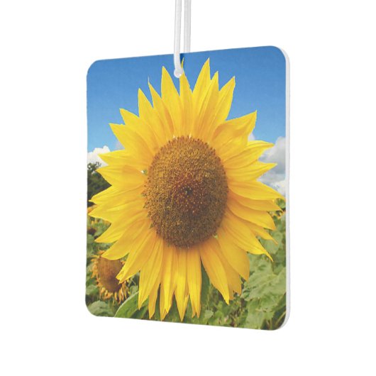 Désodorisant Pour Voiture Carré Sunflower Air Freshener (Gauche)