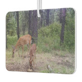 Désodorisant Pour Voiture Cerf (Gauche)