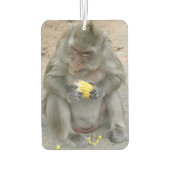 Désodorisant Pour Voiture C'est à moi ! ! ... Singe Macaque thaïlandais sauv (Dos)