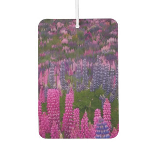 Désodorisant Pour Voiture Champ de fleurs de lupin Impression de nature esth