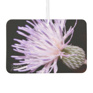 Désodorisant Pour Voiture Chardon de Nuttall en fleurs