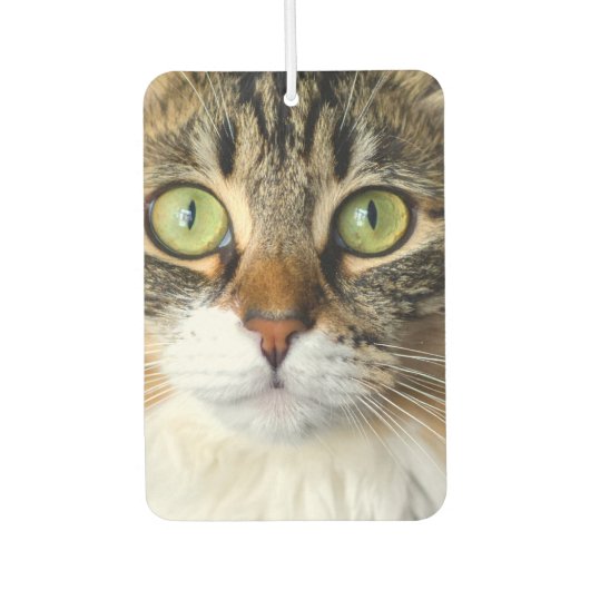 Désodorisant Pour Voiture Chat (Devant)