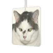 Désodorisant Pour Voiture Chat aux yeux croisés et mouche (Gauche)