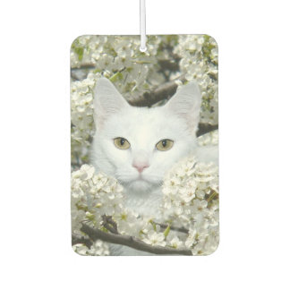 Désodorisant Pour Voiture Chat blanc en fleurs blanches
