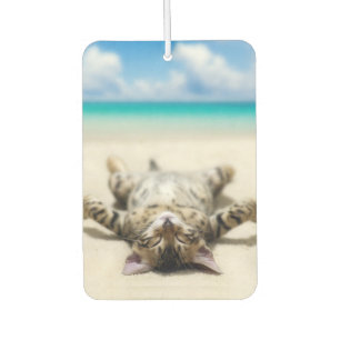 Désodorisant Pour Voiture Chat bronzage à la plage