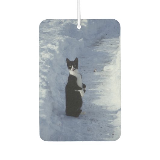 Désodorisant Pour Voiture chat dans la neige (Devant)