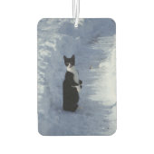 Désodorisant Pour Voiture chat dans la neige (Dos)