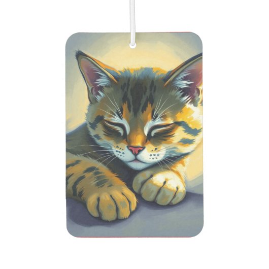 Désodorisant Pour Voiture Chat endormi (Devant)