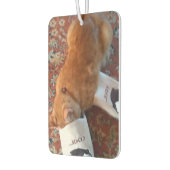 Désodorisant Pour Voiture chat ginger (Gauche)