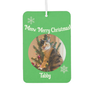 Désodorisant Pour Voiture Chat tigré Personnaliser le nom de la photo