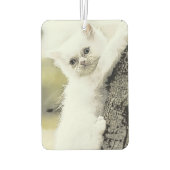 Désodorisant Pour Voiture Chats, Tendre, Petit chat (Dos)