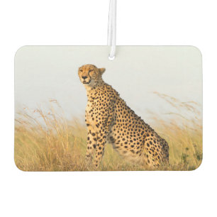 Désodorisant Pour Voiture Cheetah