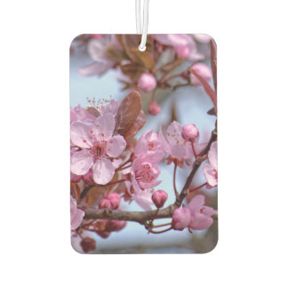 Désodorisant Pour Voiture Cherry Blossom Japonais