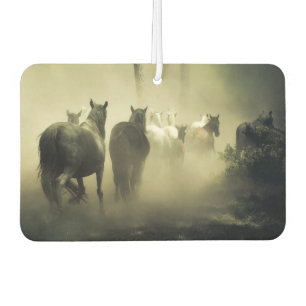 Désodorisant Pour Voiture Chevaux