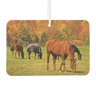 Désodorisant Pour Voiture Chevaux en Automne Air Freshener
