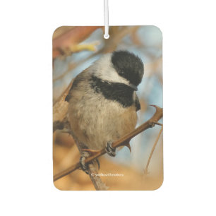 Désodorisant Pour Voiture Chickadee Songbird, Joli Espérant