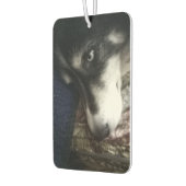 Désodorisant Pour Voiture Chien endormi (Gauche)