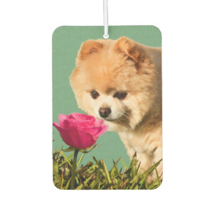 Désodorisant Pour Voiture Chien et Rose de Poméranie