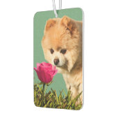 Désodorisant Pour Voiture Chien et Rose de Poméranie (Gauche)