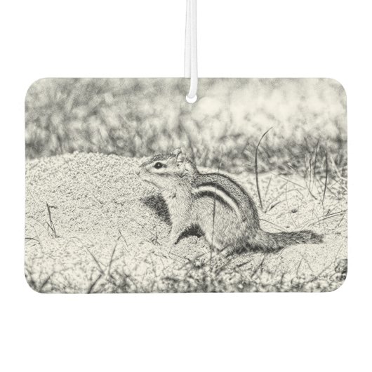 Désodorisant Pour Voiture Chipmunk Sketch (Devant)