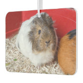 Désodorisant Pour Voiture Cochon de Guinée dans une cage (Gauche)