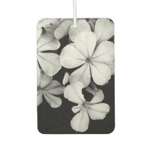 Désodorisant Pour Voiture Conception de carte postale noir et blanc