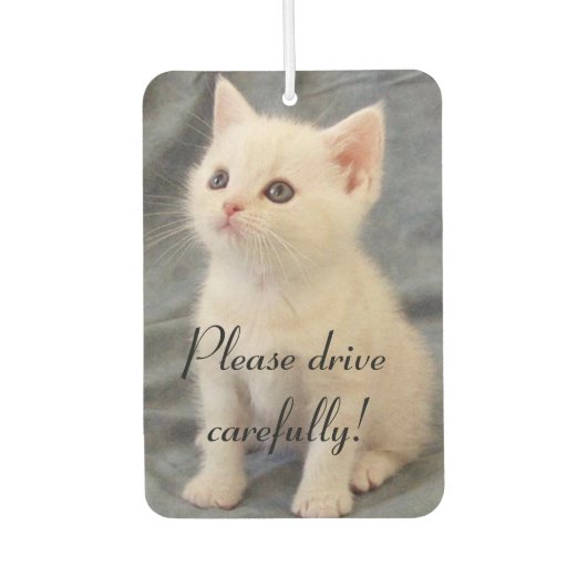 Désodorisant Pour Voiture Conduire prudemment Kitten (Devant)