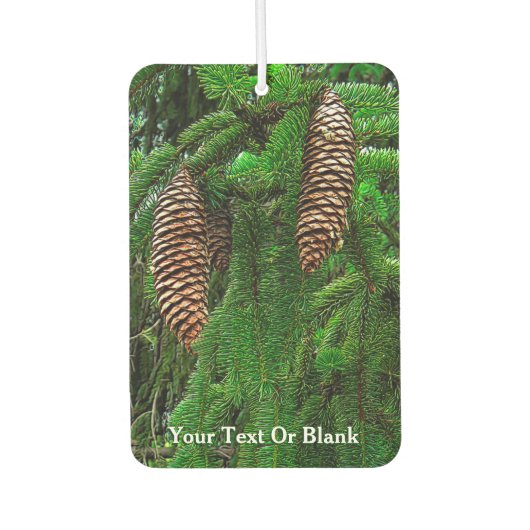 Désodorisant Pour Voiture Conifer Cônes Et Aiguilles (Devant)