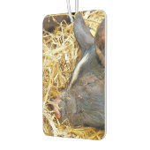 DÉSODORISANT POUR VOITURE COUPE DE COUCHER (Gauche)