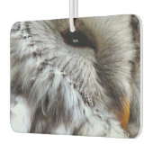 DÉSODORISANT POUR VOITURE COUPER OWL (Gauche)