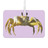 Désodorisant Pour Voiture Crabe (Dos)