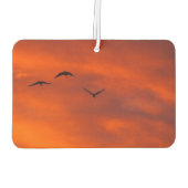 Désodorisant Pour Voiture Créez votre propre désosseuse (Dos)