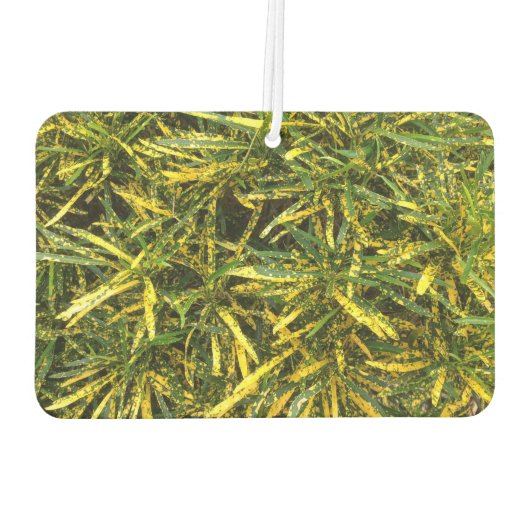 Désodorisant Pour Voiture Créez votre propre désosseuse (Dos)