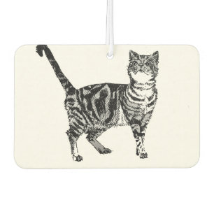 Désodorisant Pour Voiture Cute Black Blanc Tabby Chat Voiture Air Freshener