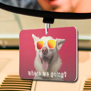 Désodorisant Pour Voiture Cute Chien Photo Voiture Air Freshener