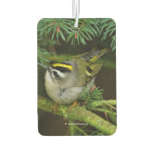 Désodorisant Pour Voiture Cute Kinglet Songbird Causes Stir in the Fir (Dos)